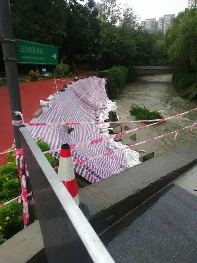 桂湖街道人口_夜晚街道图片(2)