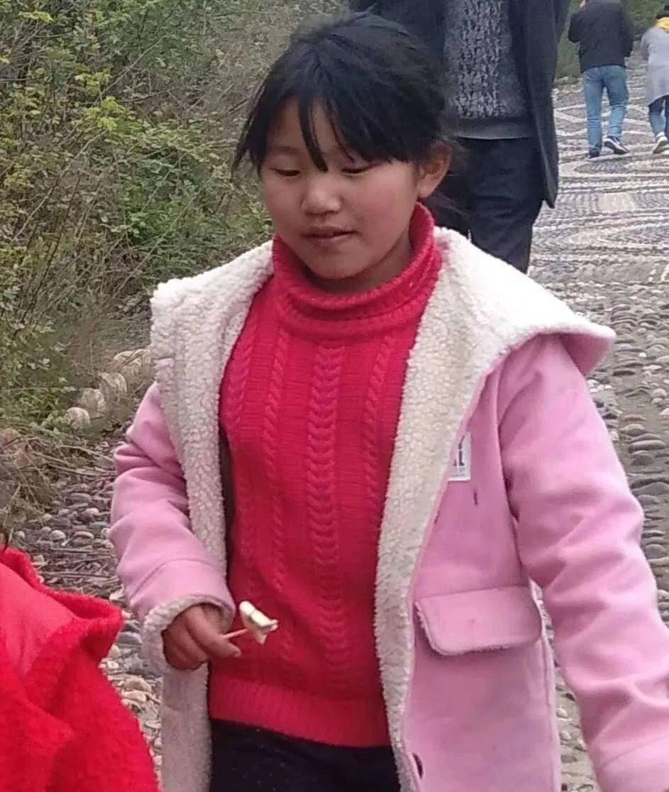 襄阳10岁女孩走失,请广大网友协助扩散寻找_手机搜狐网