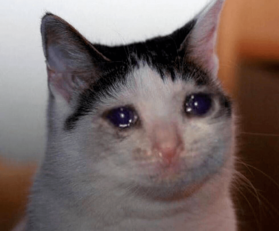 什么是舔狗式 232409a56ddb4cbb8d7e6eeac273b153.png