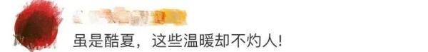 二大队|7分钟13人为她报警！网友却吵翻了......