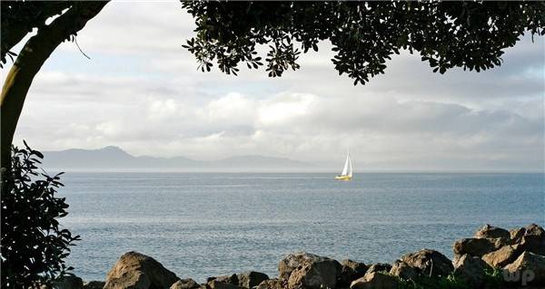莫负|人生就像蒲公英，愿所有汗水都有收获，所有努力都不被辜负。早安