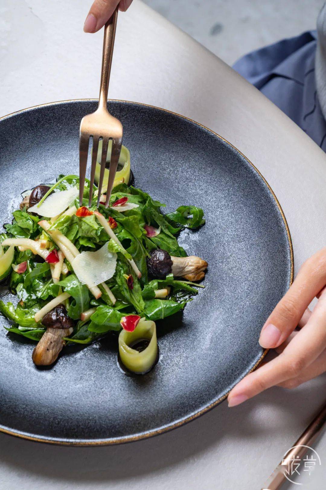 植物园|魔都也有了!帝都刷屏的“植物园餐厅”