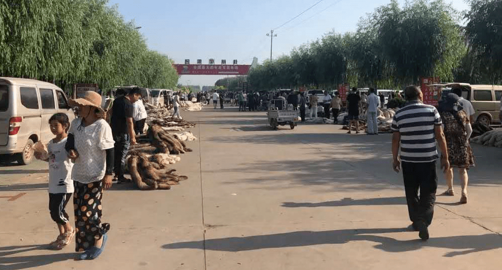 黄金|奢侈品之皮草调查丨昔日“软黄金”，如今价如“草”！