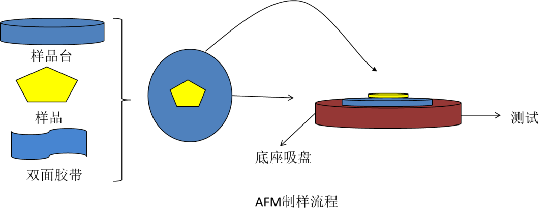 原子力显微镜原理及应用