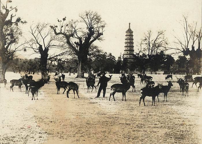 皇帝|故宫何以藏了这批康熙、雍正等清帝吉服读书像