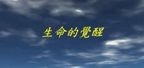 7d729bc817a242fe98ac8fd319422a6e.jpeg