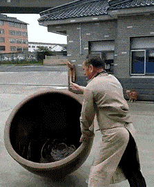 搞笑gif我今天找到了喝咖啡放香菜的人