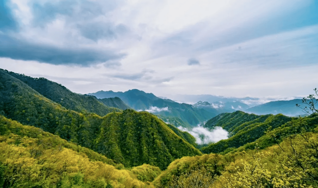 石泉 县城 人口_石泉县城图片(3)