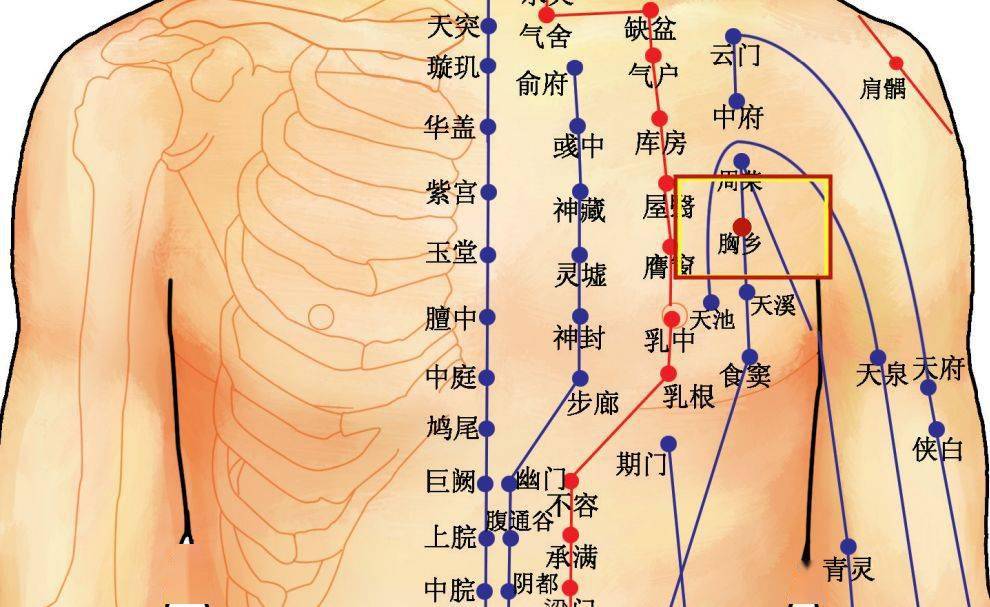 【灵兰风曲—足太阴脾经胸乡穴