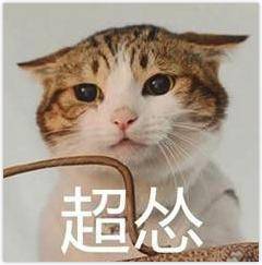 女子被67岁老人当街捅死：女性如何自我保护？