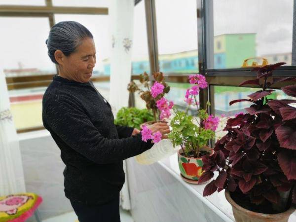 移民|【你笑起来真好看】易地搬迁搬出幸福新生活