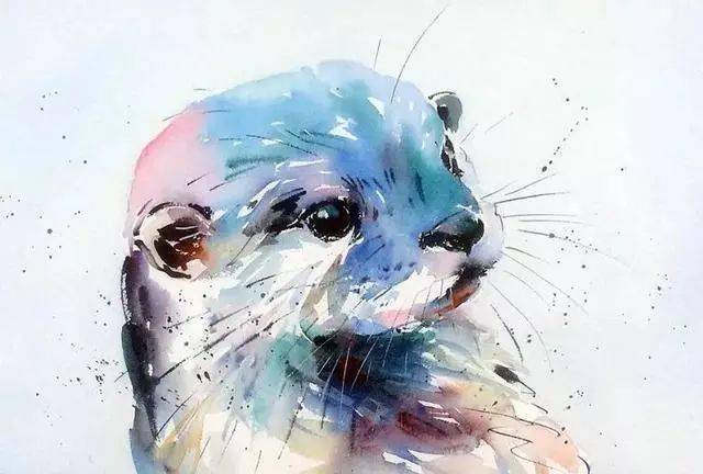 这样的动物水彩画你能忍住不笑嘛?太可爱了!
