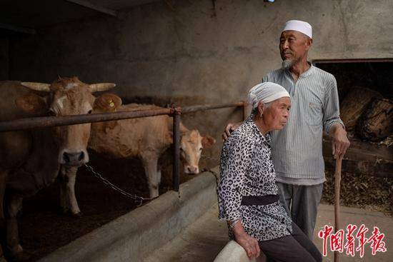 宁夏|家门口的小康路