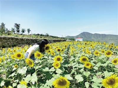 种植|秋来山村 风景好