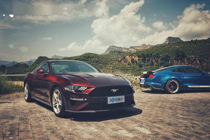 极致视驾 福特mustang 2.3l ecoboost&谢尔比gte