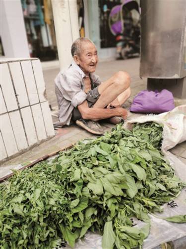 野菜 新疆健康门户