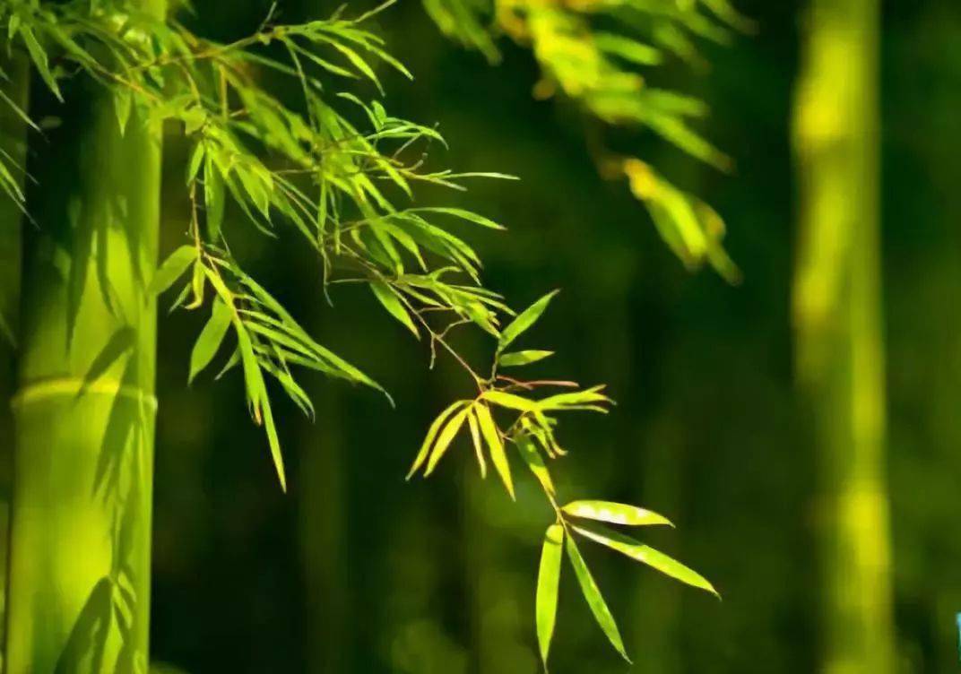 是一种美不胜收的自然风景