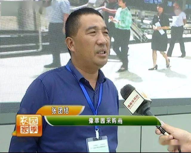 原创上海金果园果品张团结致家乡父母一封信!