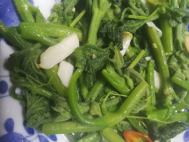 杨亚|一个人的河山：《朗清园文集》