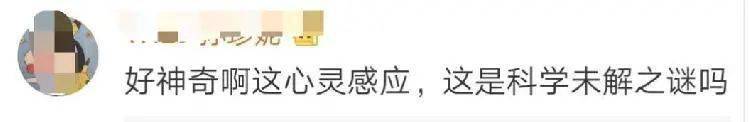 祝尔乐|要上清华了！尔康和他弟弟