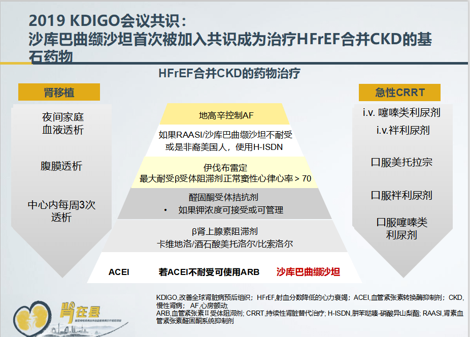 治疗|突破局限,CKD患者的降压、抗心衰治疗可以试试这些方案!