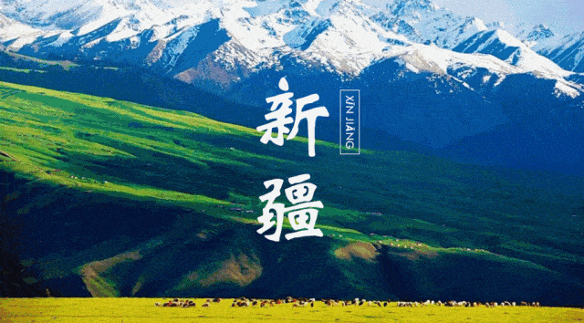 天下|盘点逐鹿天下的新疆品牌！你值得拥有