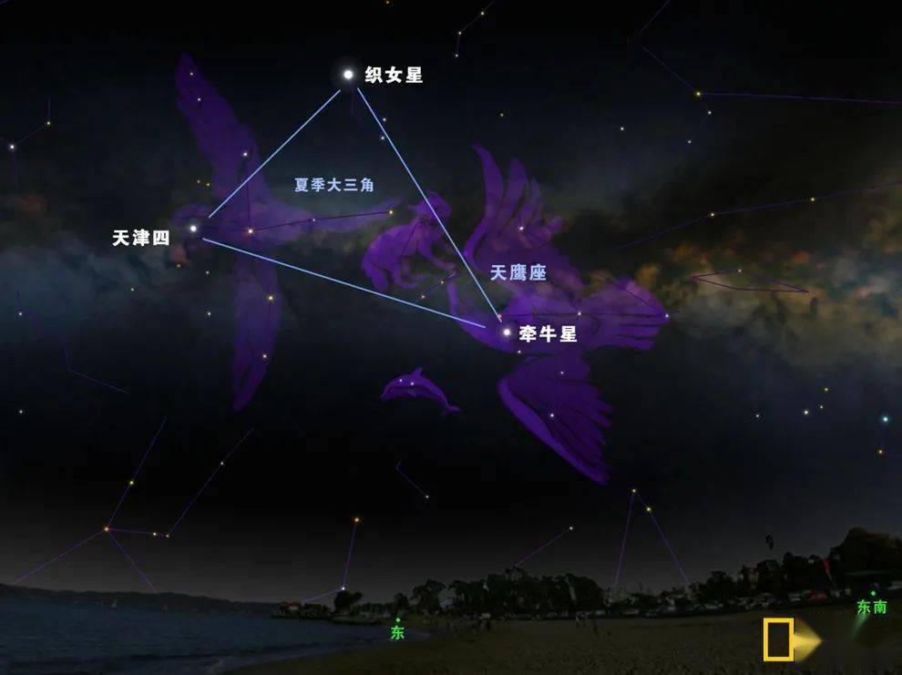 牵牛星,织女星和天津四将会形成"夏季大三角"星群.