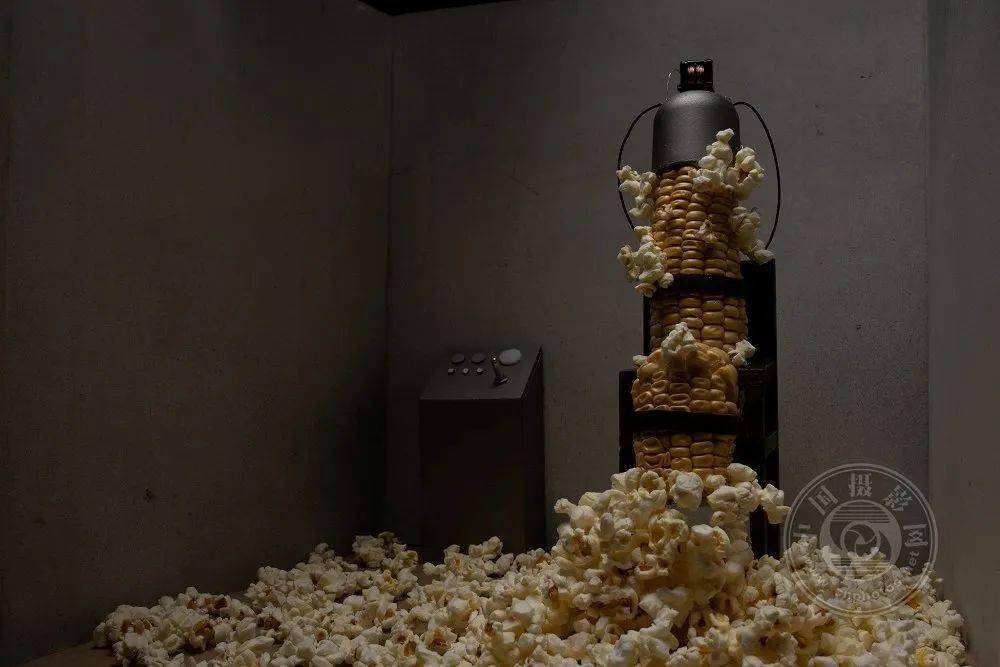 黄瓜|玉米、黄瓜、西红柿这样拍!中国摄影网“拍了拍”你