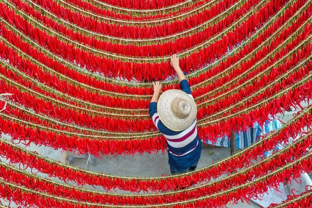 毕节地区有多少人口_毕节地区地图全图