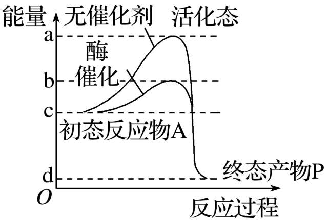 无机催化剂的原理是什么_无机化学催化剂