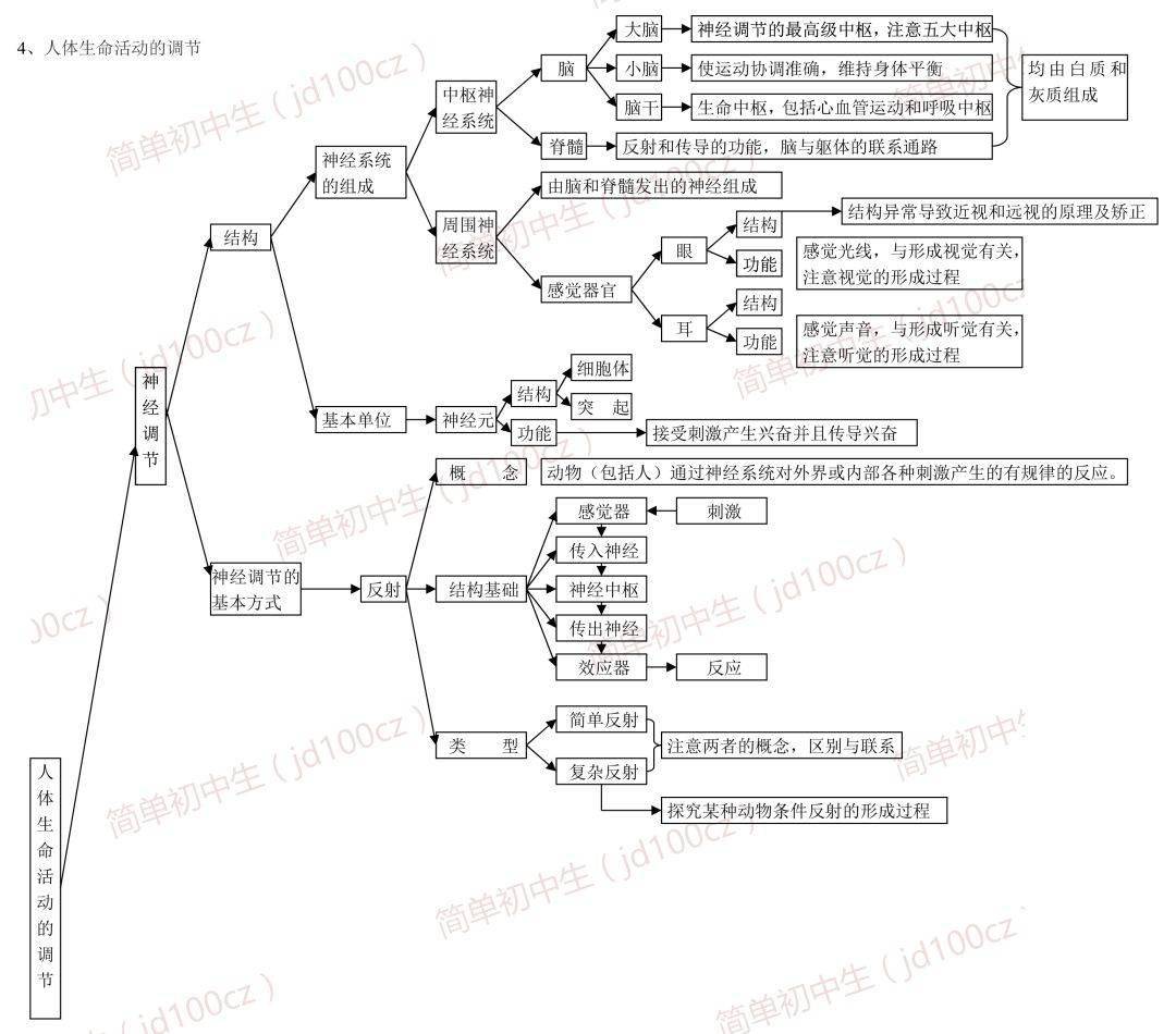 初中生物重要概念思维导图,照这个复习准没错!值得收藏