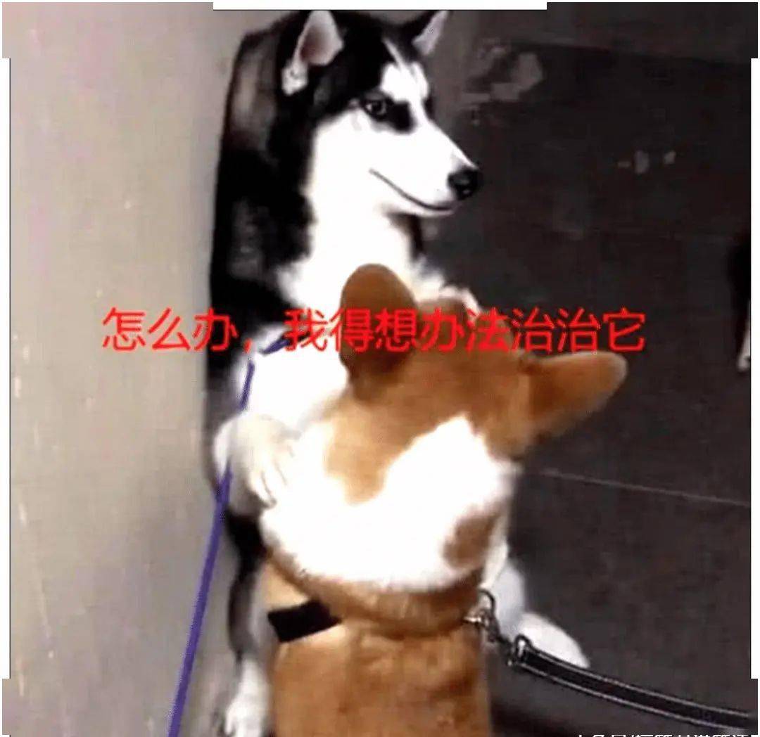 3bae9535b91c4f2aac9917020a2357ec.jpeg