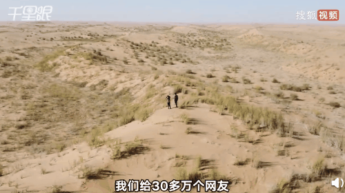 妻子|沙漠里给30万网友种爱情树，这对夫妻火了!