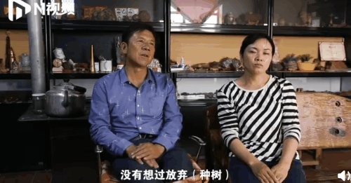 妻子|沙漠里给30万网友种爱情树，这对夫妻火了!