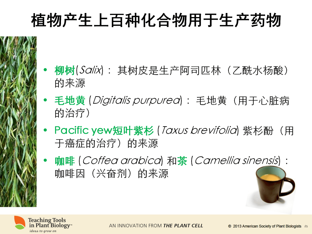 9e83a40779cb4730bfa8f1aa38ec1120.png