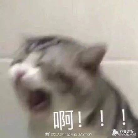 鞋子|一代人的回忆达芙妮 宣布退出实体零售店