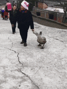 轻松时刻 搞笑gif