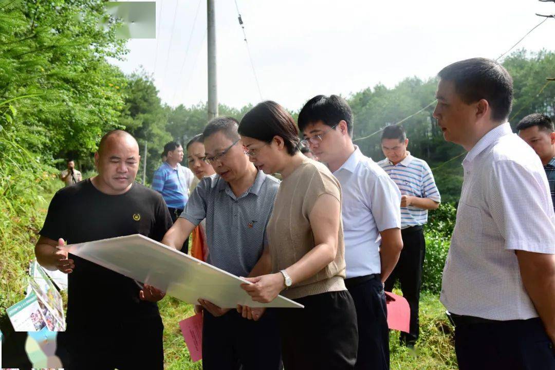 盯重点巧作为武平县长张丽华在武东南片区乡镇现场推进会上强调了这些