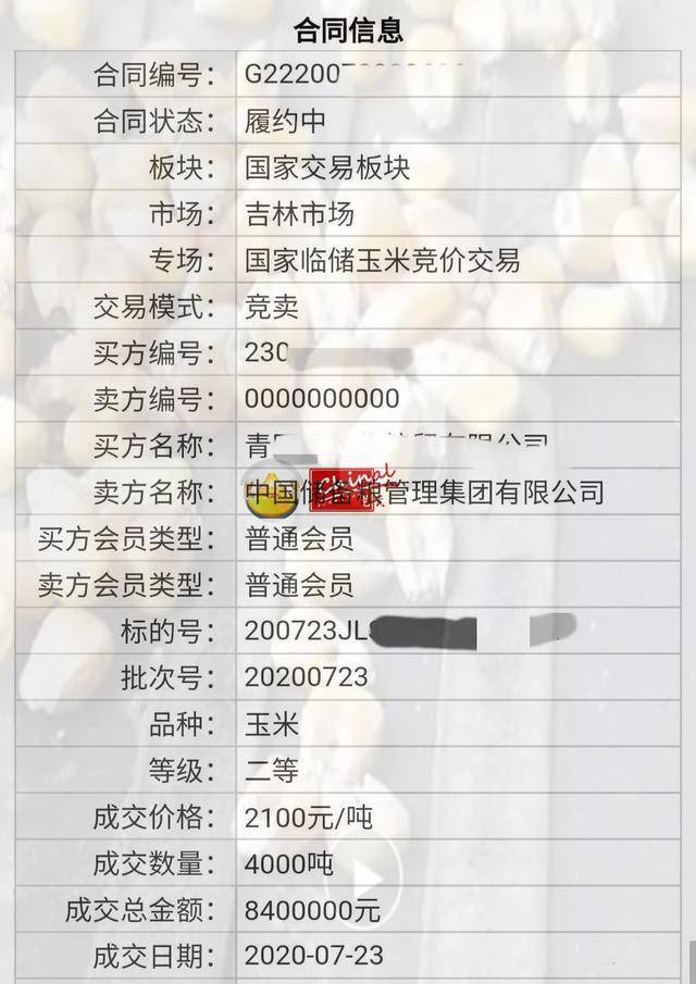 从高溢价追捧到出库质量受质疑 中储粮的玉米还能拍吗 进口