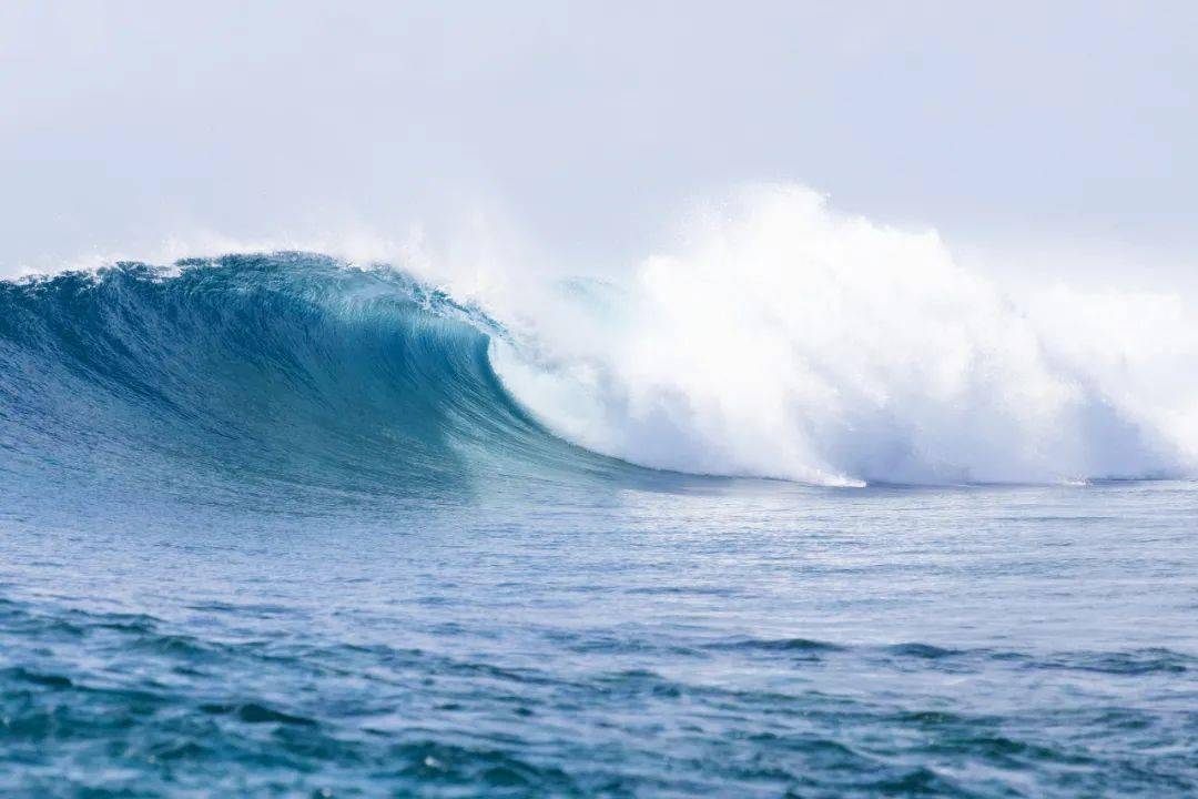 教育|当“巨浪”拍打之后……