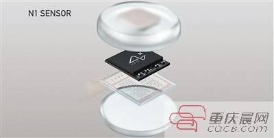 马斯克|马斯克遇上 三只小猪 人类脑机接口 要成真了?