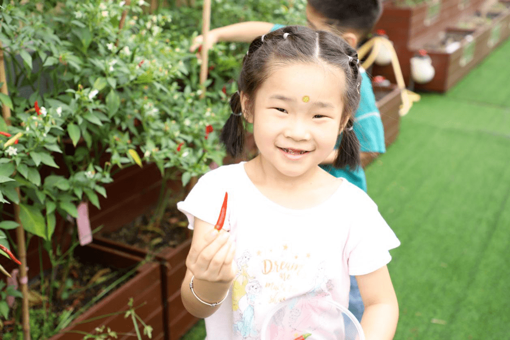 辽宁各市2020二季度g_辽宁男篮海报2020