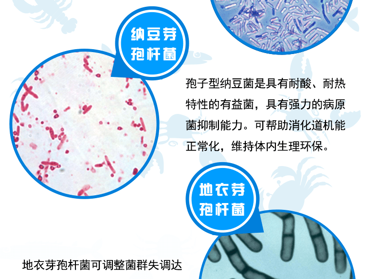 ef38ab1db68d40a2ad0bafd0c672718b.png