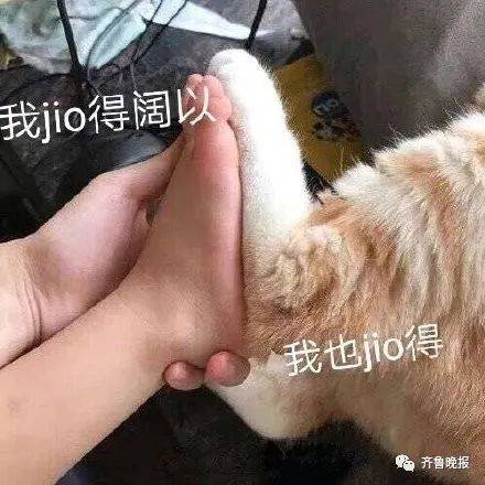 幼儿园|开学第一天摸鸡、摸大葱？山东这个幼儿园画风有点可爱！