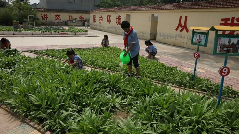 郓城县|菏泽市郓城县黄岗小学：“勤俭节约”成为开学第一课