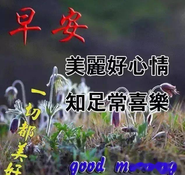 微信早安问候语幽默祝福句子大全 早上好的祝福语图片表情动态