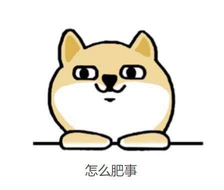 李小刚|“天生我材必有用”，这个被“搬砖”耽误的播音员“红”了