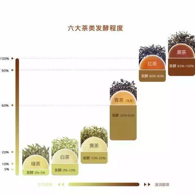 花茶|助你成为喝茶高手！六大茶类最全知识