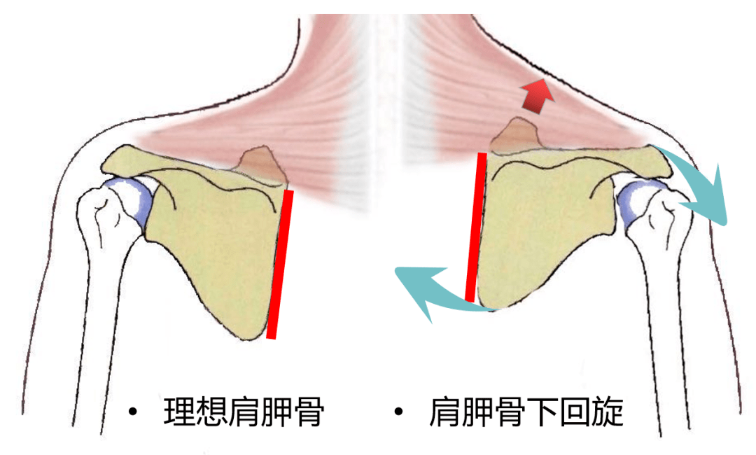 5eaa4543ece3483c9dbd18220dd919c6.png