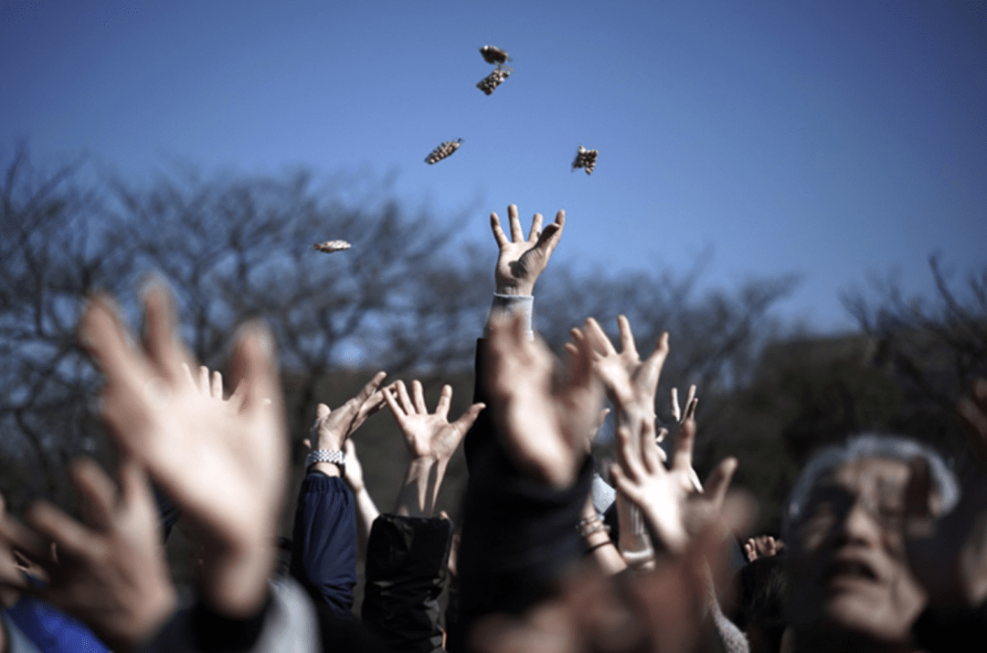 司马|【司马缸说】今天中元节,其实这是一个温暖的节